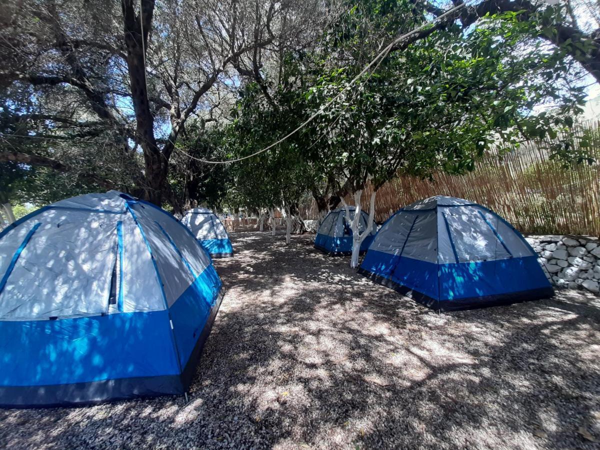 ホテル Social Camping ヤル エクステリア 写真